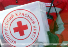 В Гомельской области Красный Крест поддержит лучшие волонтерские инициативы