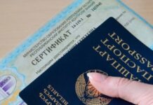 В Беларуси началась выдача сертификатов ЦТ