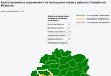 Запреты и ограничения на посещение лесов действуют в 50 районах Беларуси