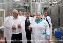 Лукашенко: нынешняя ситуация на мировом рынке — шанс для белорусского сельского хозяйства