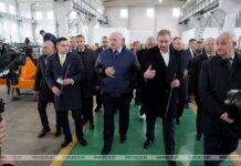 Лукашенко: каждый клочок земли должен быть использован на благо Беларуси