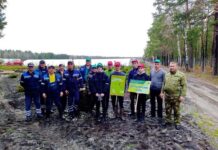 Акция «Неделя леса» в разгаре