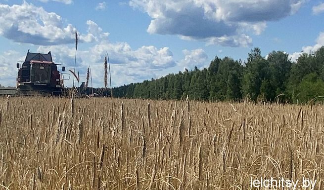 Хлеб — всему голова, а человек — всей земле опора