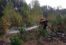 Потушили лесные пожары