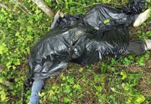 Госпогранкомитет: белорусские пограничники с начала года обнаружили тела 23 беженцев