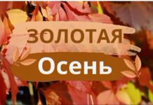 Видео. Лельчицы в цвете золота