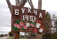 Порядок и красоту создают сами