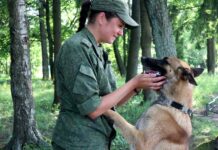 В Мозырский пограничный отряд требуются кинологи