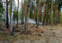 Пожар ликвидировали оперативно
