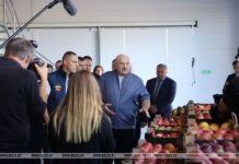 «Перестать кланяться импортному яблоку». Лукашенко о задаче страны в плодоводстве