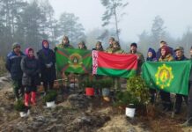 Вместе к зеленому будущему: акция по восстановлению лесов