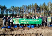 Дай лесу новую жизнь: вместе к зеленому будущему!