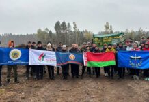 Лес под дождем: вместе создаем будущее!