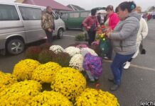 Видео. В Лельчицах прошла традиционная осенняя сельскохозяйственная ярмарка