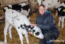 Животноводы хозяйства — это мастера своего дела