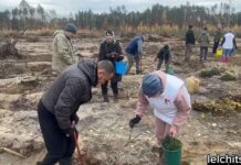 Видео. Лельчане приняли участие в акции «Дай лесу новае жыцце!»