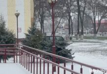 Зимняя сказка в Лельчицах: первый снег