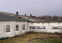 Срочное обращение: последствия сильного ветра в Лельчицком районе