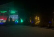 Новогодние чудеса лельчан: Путешествие в атмосферу праздника