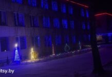 Новогодние чудеса Лельчиц: Путешествие в волшебство!