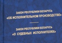 Вопрос-ответ: отвечает начальник отдела принудительного исполнения Лельчицкого района Юлия Шапиренко