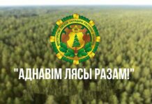 Акция «Дай лесу новае жыццё!» стартует в Беларуси 21 марта лес, акция