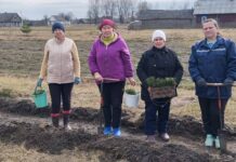 Все на благоустройство деревни