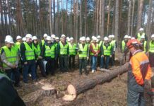 «Безопасность на лесозаготовках: семинар в Лельчицком лесхозе