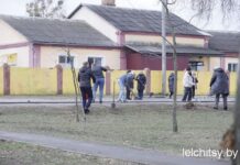 Если дружно и вместе — будет результат
