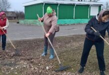 Дружный субботник: вместе к чистоте и порядку!