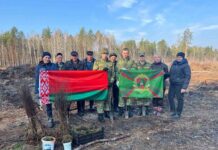 «Дай лесу новае жыццё»: Акция по высадке деревьев в Дзержинске