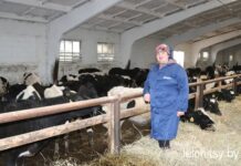 Работает с усердием