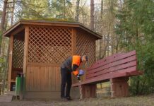 Добровольная акция «Лес! Дабро! Парадак!» стартует в Беларуси 12 апреля