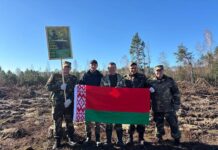 Восстановим леса для будущих поколений