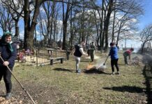 В единстве наведения порядка