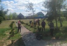 Благоустройство Милошевичского сельсовета: вместе к чистоте и красоте!