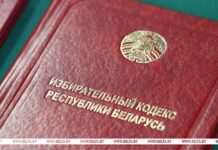 Опыт и перспективы развития избирательной системы Беларуси обсудят на семинаре в Минске