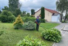 Работы по наведению порядка