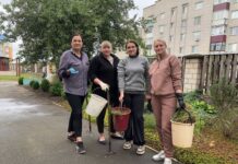 Зеленый уголок Лельчицкого района: уют и комфорт в каждом листочке