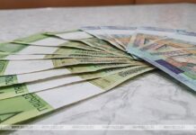 Пенсионерка в Барановичах за «продление договора сотовой связи» отдала мошенникам более Br2,8 тыс.