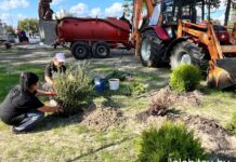 Новая ландшафтная композиция КПУП «Лельком» украшает центр райцентра