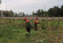 Лесники дарят чистоту и уют к празднику народного единства