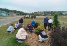 Ударненский сельсовет преображается: к цветам и креативным композициям