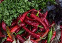Секреты вкусной аджики: простой рецепт на зиму из помидоров и перца с чесноком