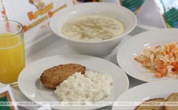 Одноразовое школьное питание должно покрывать не менее 20-25% суточной нормы энергии — Минобразования