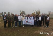 Единый день озеленения: 60 кленов от «Белой Руси»