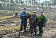 Вместе восстанавливаем природу: акция «Дай лесу новае жыцце!» продолжается!