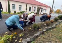 Курс на красоту и уют: сотрудники газеты «Светлае жыцце» преображают прилегающую территорию