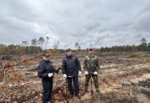 Зеленое наследие: восстановление лесов в Жмурнянском лесничестве