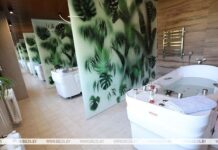 Крутой: Беларусь может очень серьезно добавить в экспорте за счет сегмента услуг